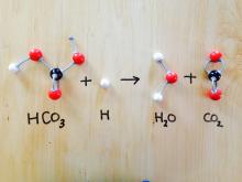 chemical reaction with molecule models
