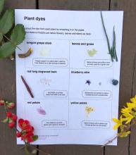 Plant dye worksheet (old) with corresponding plants