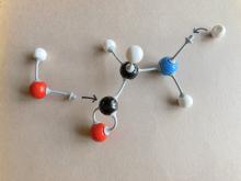 amino acid formation