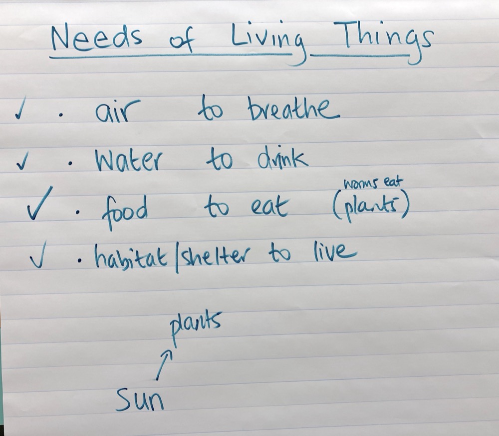 Features And Needs Of Living Things animals Ingridscience ca