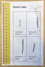 Student data including elastic band thicknesses